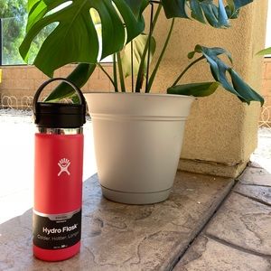RARE FIND - HYDROFLASK 20oz in WATERMELON